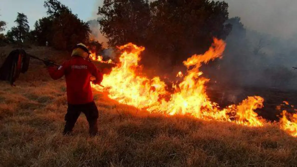 incendios forestales 1